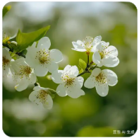 抖音意向客户引流怎么做