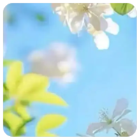 抖音小店零粉如何卖货