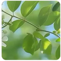 抖音鞋子运营方案怎么做